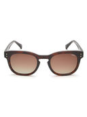 Brown color option, Sold out
