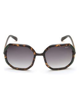 IDEE - Green Gradient Lens Hexagon Sunglass Shiny Dark Brown Demi Shiny Green Frame (57)