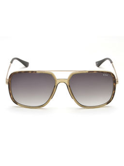 IDEE - Green Gradient Lens Square Sunglass Light Gold Crystal Olive Demi Frame (58)