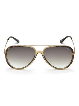 IDEE - Green Gradient Lens Pilot Sunglass Crystal Olive Shiny Brown Light Gold Frame (58)