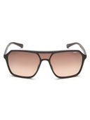 Brown color option, Sold out