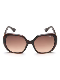 IDEE - Brown Gradient Lens Square Sunglass Full Rim Shiny Brown Demi Frame (55)