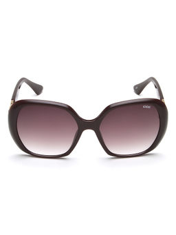 IDEE - Brown Gradient Lens Square Sunglass Full Rim Shiny Burgundy Frame (55)