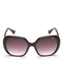 Brown color option, Sold out