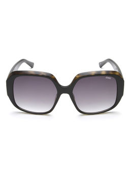 IDEE - Smoke Gradient Lens Square Sunglass Full Rim Shiny Black Frame (56)