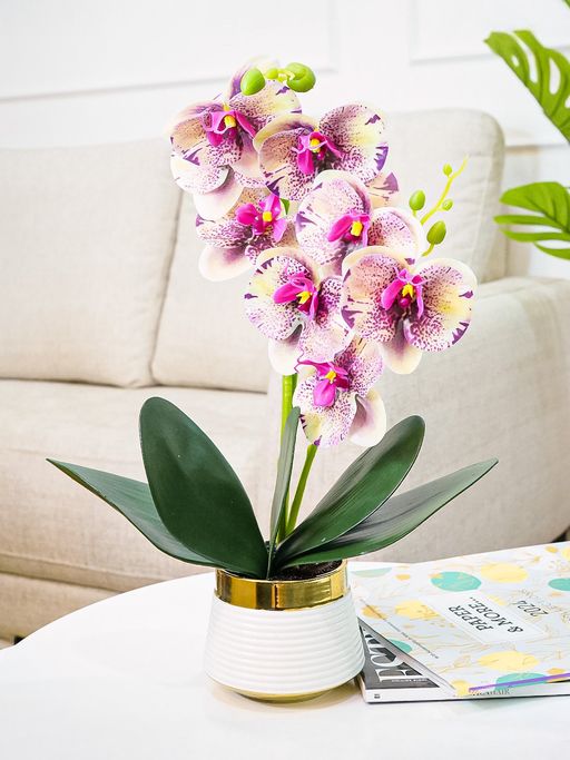 Ekhasa Artificial Pink Orchid Flowers with Ceramic Vase Pot for Home & Office Decor