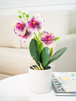 Ekhasa - Artificial Pink Orchid Flowers with Ceramic Vase Pot for Home & Office Decor