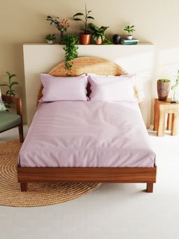 BIANCA - Cotton XL Size Bedsheet with 2 Pillow Covers Checks Purple (King)