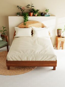BIANCA - Cotton XL Size Bedsheet with 2 Pillow Covers Checks Wheat (King)