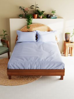 BIANCA - Cotton XL Size Bedsheet with 2 Pillow Covers Checks Blue (King)