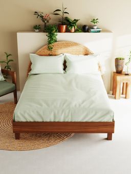 BIANCA - Cotton XL Size Bedsheet with 2 Pillow Covers Checks Sage (King)