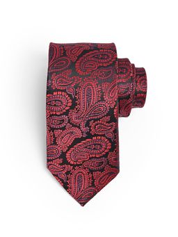 CAZZANO - Men Paisley Skinny Neck Tie