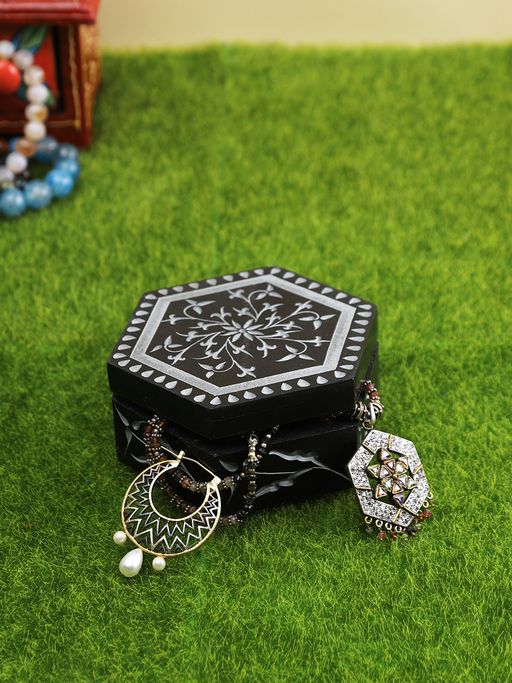 AAPNO RAJASTHAN Black Storage Box