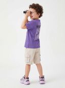 Lavender color option