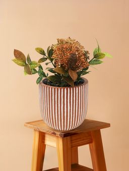 UMAI - Artificial Plant with Pot 19Cm Sedum Bush with Leaves