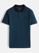 Teal color option, Currently selected