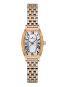 Silver color option, Currently selected