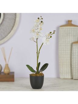 HomeTown - Ilana Artificial Orchid Potted Plant 40 cm In White Colour