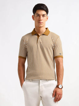 Arrow Sports - Men Brown Stripes Regular Fit Polo T-Shirt