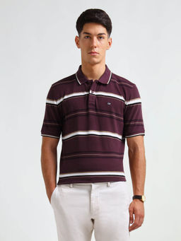 Arrow Sports - Men Purple Striped Regular Fit Polo T-Shirt
