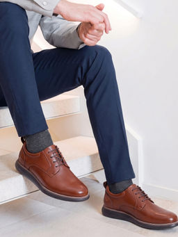 U.S. POLO ASSN. - Men Brown NICOLO 2.0 Sneakers