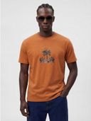 Rust color option, Currently selected