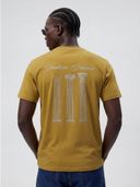 Mustard color option