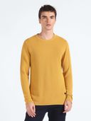Yellow color option, Currently selected