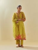Yellow color option, Sold out, Currently selected