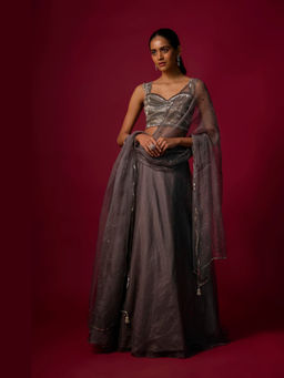MEHAK MURPANA - Embroidered Grey Choli with Skirt and Dupatta