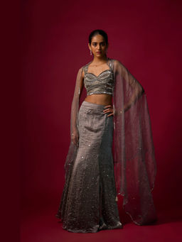 MEHAK MURPANA - Embroidered Grey Choli with Skirt and Dupatta