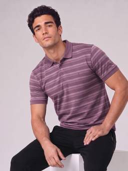 Van Heusen - Men Purple Cotton Stripes Regular Fit Polo T-shirt