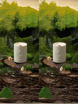 The Better Home - Wild Peach Bush Candles