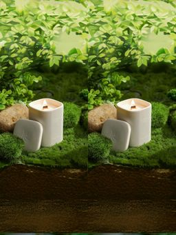 The Better Home - Ebony Agilawood Candles