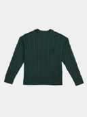 Green color option, Currently selected