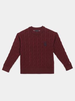 Tommy Hilfiger - Boys Burgundy Regular Fit Cotton Sweater
