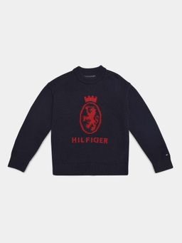 Tommy Hilfiger - Boys Navy Blue Relaxed Fit Cotton Sweater