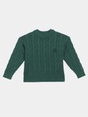 Green color option, Currently selected