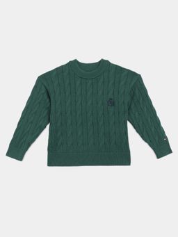 Tommy Hilfiger - Boys Green Regular Fit Cotton Sweater