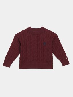 Tommy Hilfiger - Boys Burgundy Regular Fit Cotton Sweater