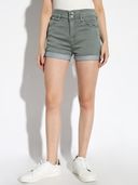 Green color option, Currently selected