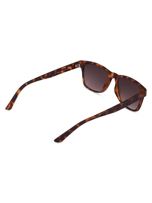 Buy French Connection Green Lens Wayfarer Sunglass Full Rim  display picture 1