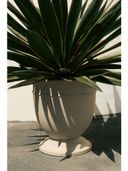 Beige color option, Currently selected
