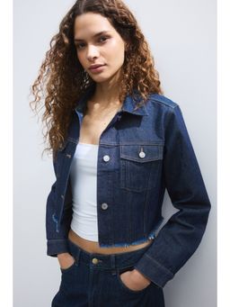 H&M - Women Blue Cropped denim jacket