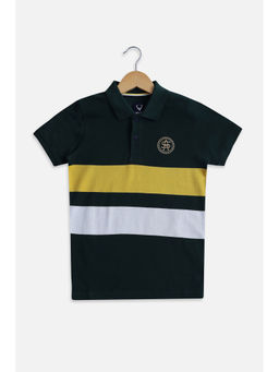 Allen Solly - Boys Green Regular Fit Colorblock Polo Neck T-shirt