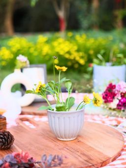 WEAVING HOMES - Grey Planter Indoor Planter