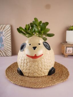 WEAVING HOMES - Sheep Planter Indoor Planter