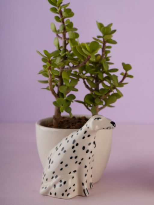 WEAVING HOMES Dog Planter Indoor Planter