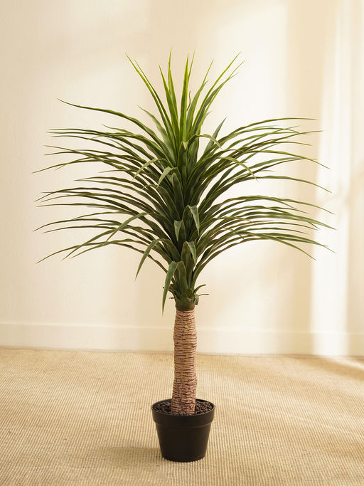 Buy Pure Home + Living Green Faux Ponytail Palm Potted Plant Online