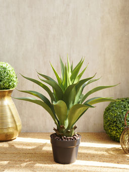 Pure Home + Living - Green Faux Agave Potted Plant